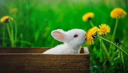 开云电竞赛事-史上最年轻的“欧冠最佳射手”首次问鼎，欧冠历史最年轻出场球员