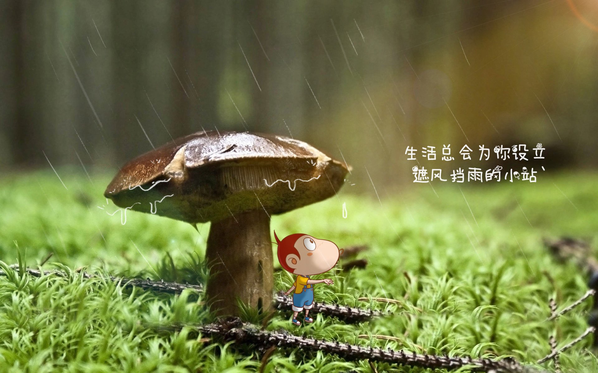 开云网页版-中国女篮快速适应比赛节奏,中国女篮战况如何